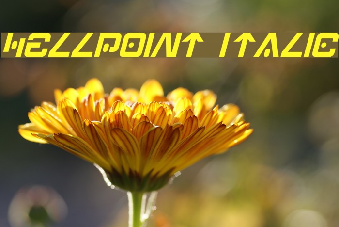 Hellpoint Italic Font examples