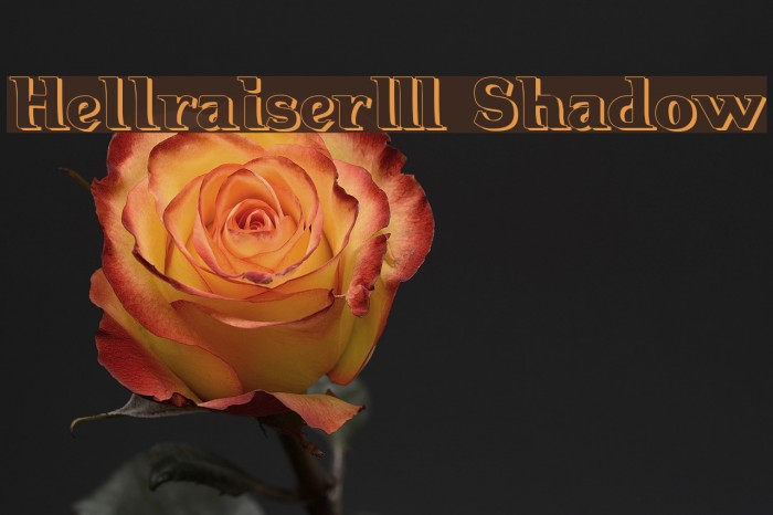 Hellraiser3 Shadow Font examples