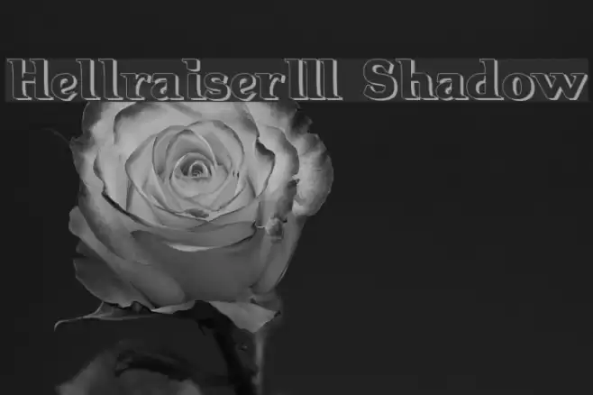 Hellraiser3 Shadow Polices examples