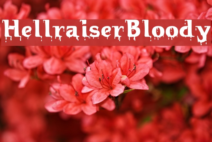 HellraiserBloody Font examples