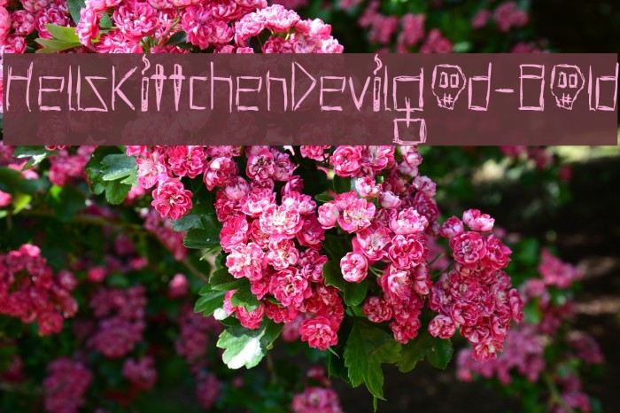 HellsKittchenDevilGod-Bold Font examples