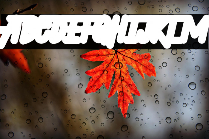 Hellytail Shadow Example 1