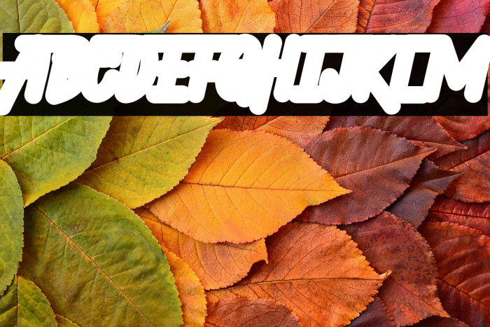 Hellytail Shadow Example 2