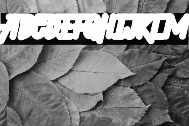 Hellytail Shadow Font examples