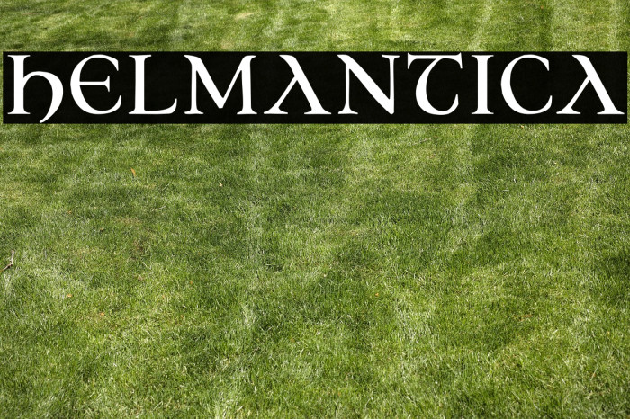 Helmantica Example 1