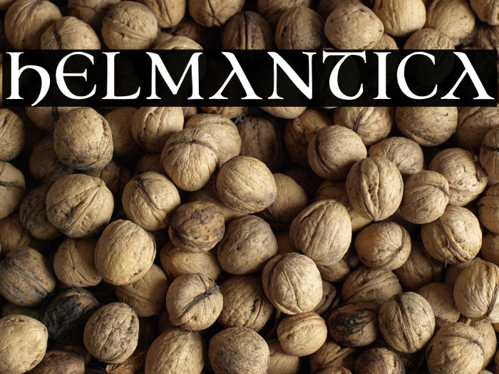 Helmantica Example 2