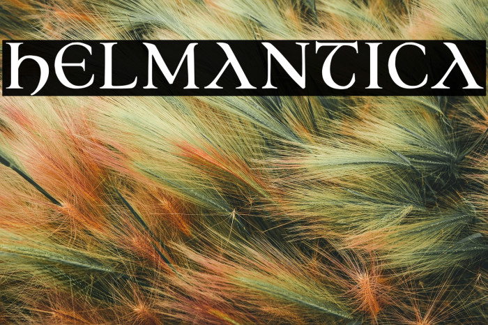 Helmantica Example 3