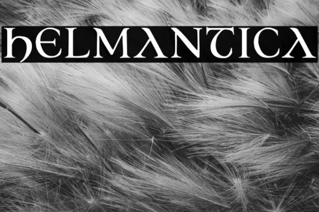 Helmantica Font examples