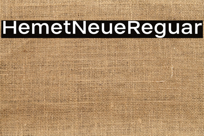 Helmet Neue Regular Example 2