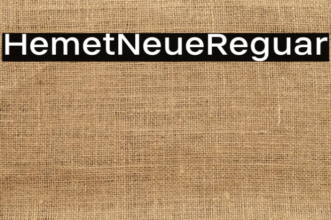 Helmet Neue Regular Example 2
