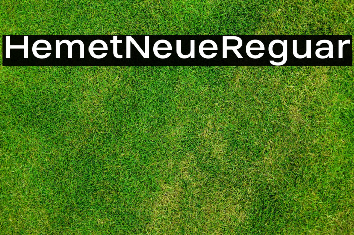 Helmet Neue Regular Example 3