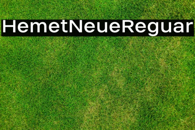 Helmet Neue Regular Example 3