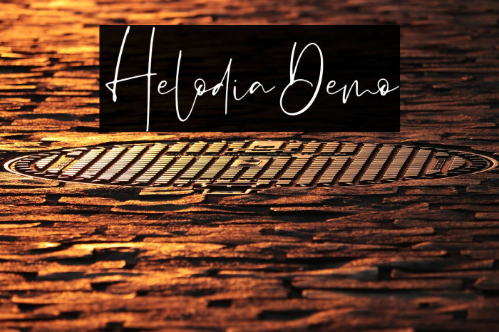 HelodiaDemo Example 1