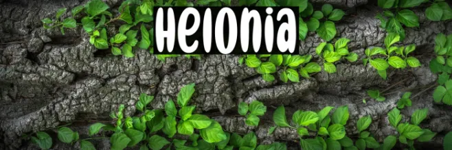 Helonia Example 1