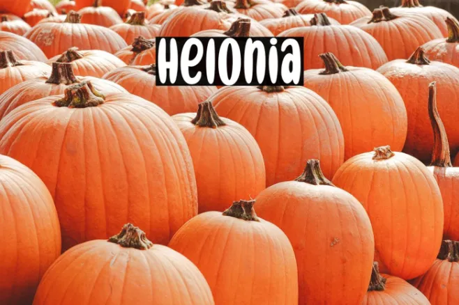 Helonia Example 2