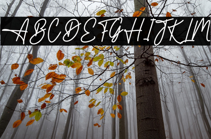 Helpful Caratteri examples