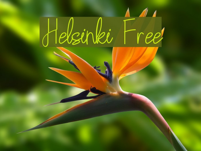 Helsinki Free Font examples