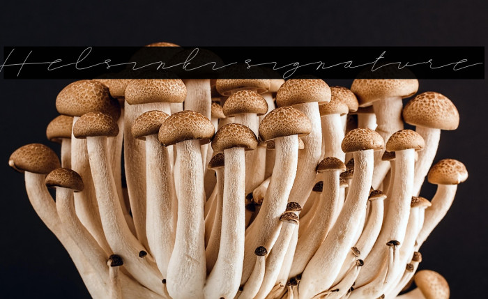 Helsinki signature Example 2