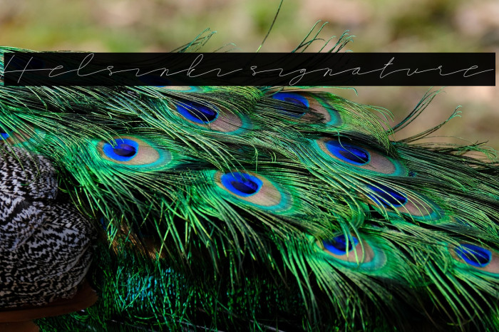 Helsinki signature Example 3