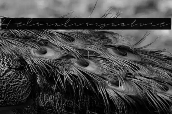 Helsinki signature خط examples