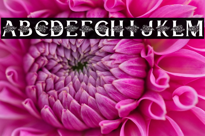 Heltavia Personal Use Example 2