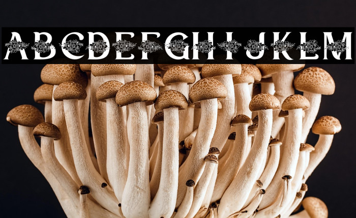 Heltavia Personal Use Example 3