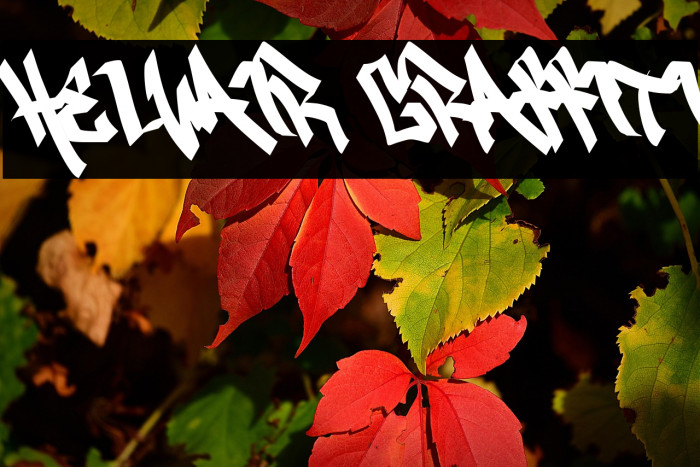Helvair Graffiti Example 1