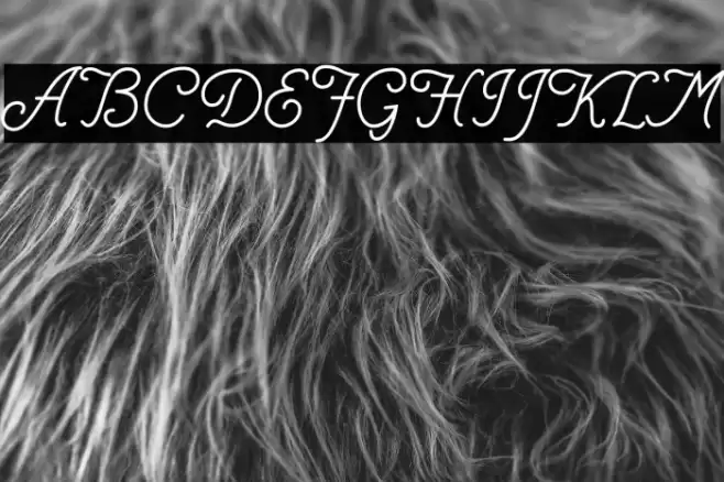 Helve Cursive Font examples