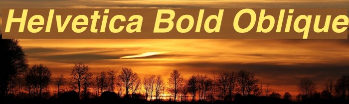 Helvetica Bold Oblique Example 2
