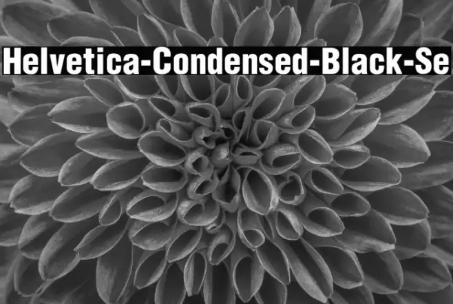 Helvetica-Condensed-Black-Se Font examples