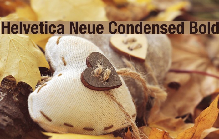Helvetica Neue Condensed Bold Example 2