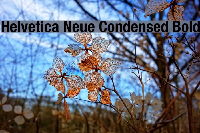 Helvetica Neue Condensed Bold Example 3