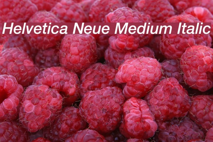 Helvetica Neue Medium Italic Example 1