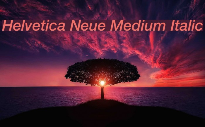 Helvetica Neue Medium Italic Example 2