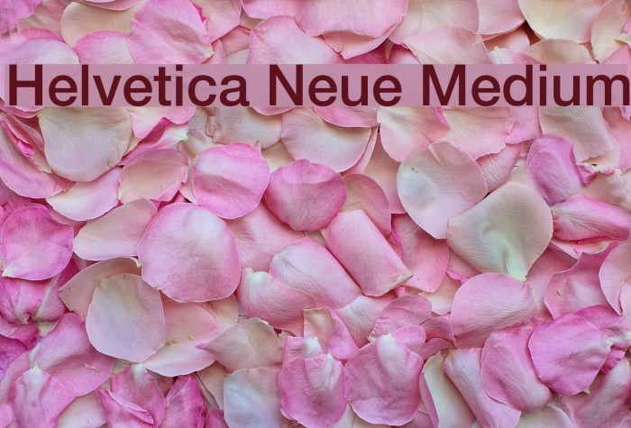 Helvetica Neue Medium Example 2