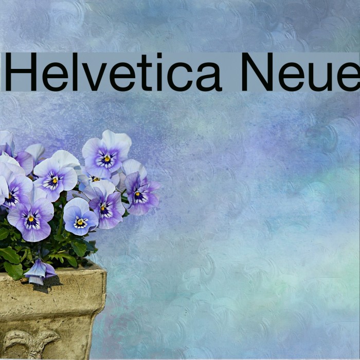 Helvetica Neue Example 2