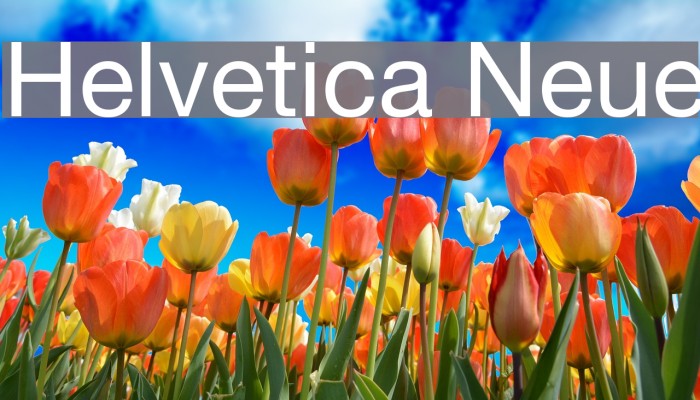 Helvetica Neue Example 3