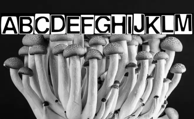 Helvetica Punk Font examples