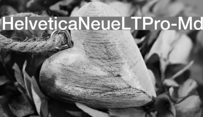 HelveticaNeueLTPro-Md Font examples
