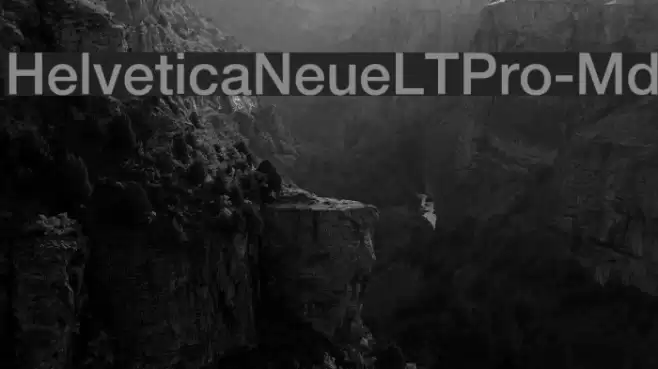 HelveticaNeueLTPro-Md Font examples