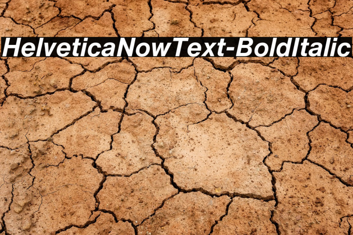 HelveticaNowText-BoldItalic Font examples