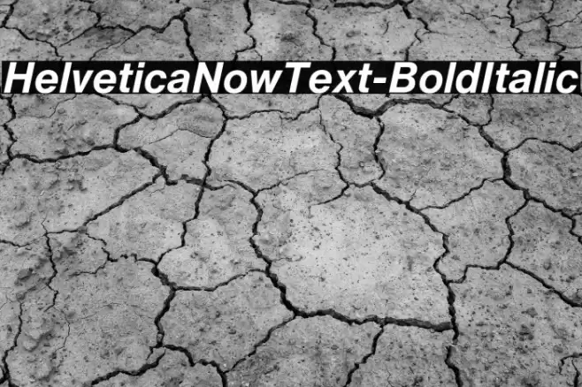 HelveticaNowText-BoldItalic 字体 examples