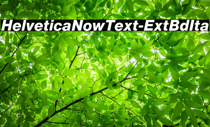 HelveticaNowText-ExtBdIta Font examples