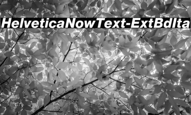 HelveticaNowText-ExtBdIta Fuentes examples