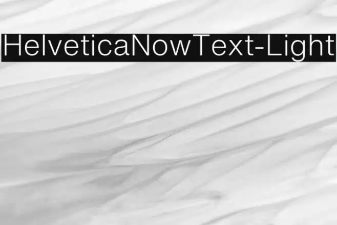 HelveticaNowText-Light フォント examples