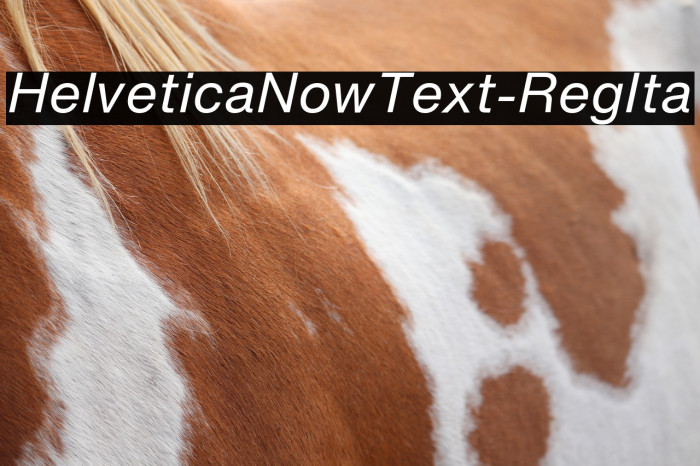 HelveticaNowText-RegIta Font examples