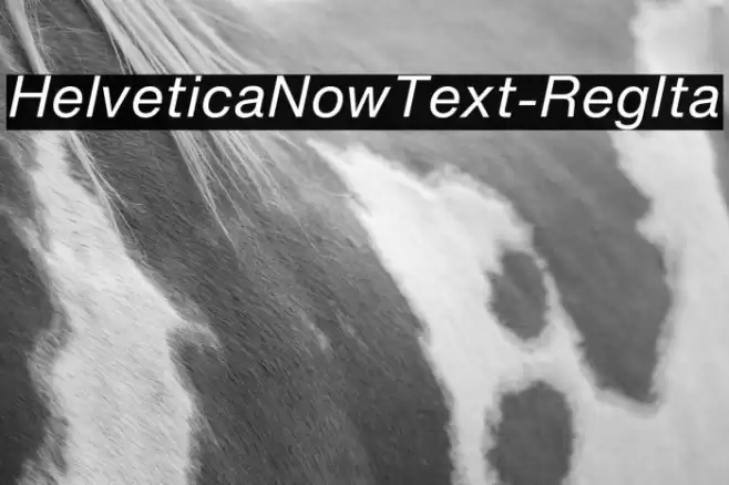 HelveticaNowText-RegIta Font examples