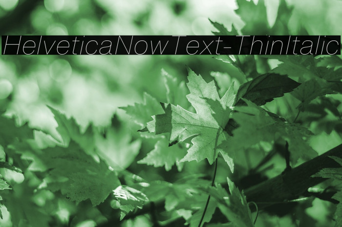HelveticaNowText-ThinItalic Polices examples