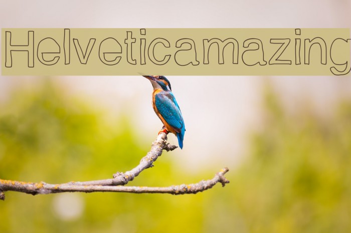 Helveticamazing Example 2