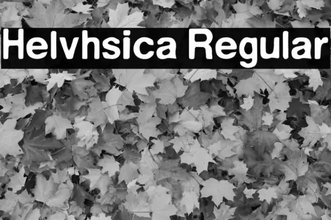Helvhsica Regular Font examples